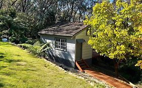 Bottlebrush Cabin, Cosy Private Cabin In The Trees